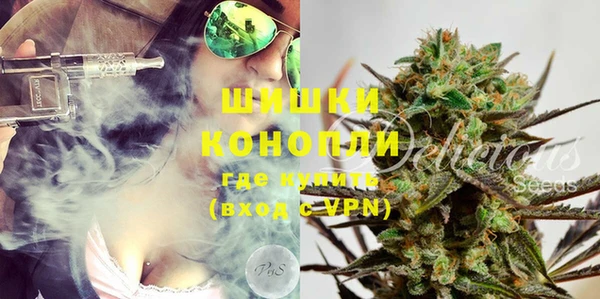 ECSTASY Белокуриха