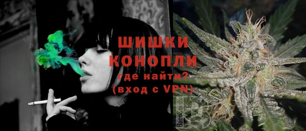 крисы Бугульма